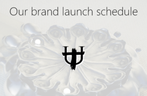 Brand launch schedule blog post title image