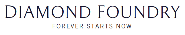 Diamond Foundry logo. They were a solo-founder startup.