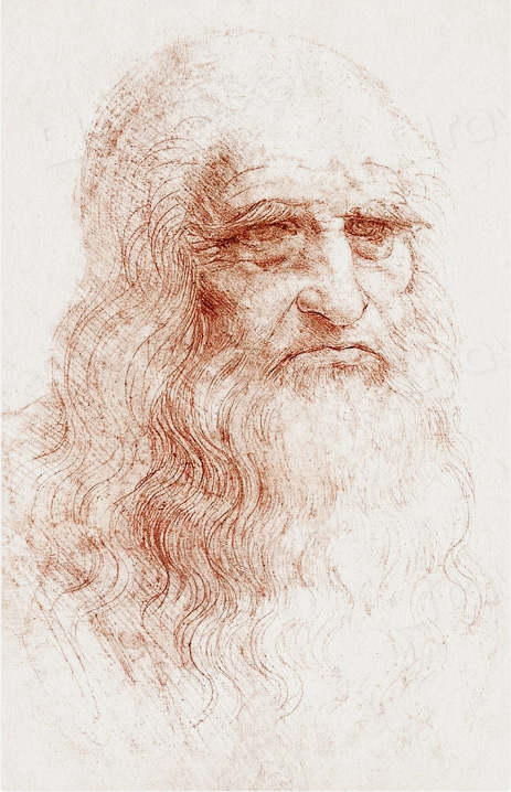 Da Vinci drawing showing realistic detail from observation
