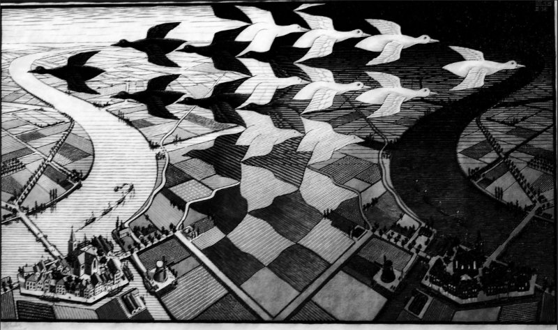 M.C. Escher, ducks image, uses tessellations, symmetry and transformation. An artist who uses mathematics.