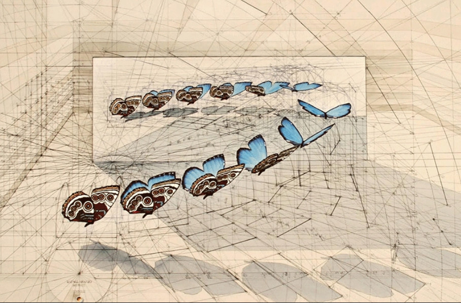Rafael Araujo, stages in a butterfly flying and lines, use of math in art