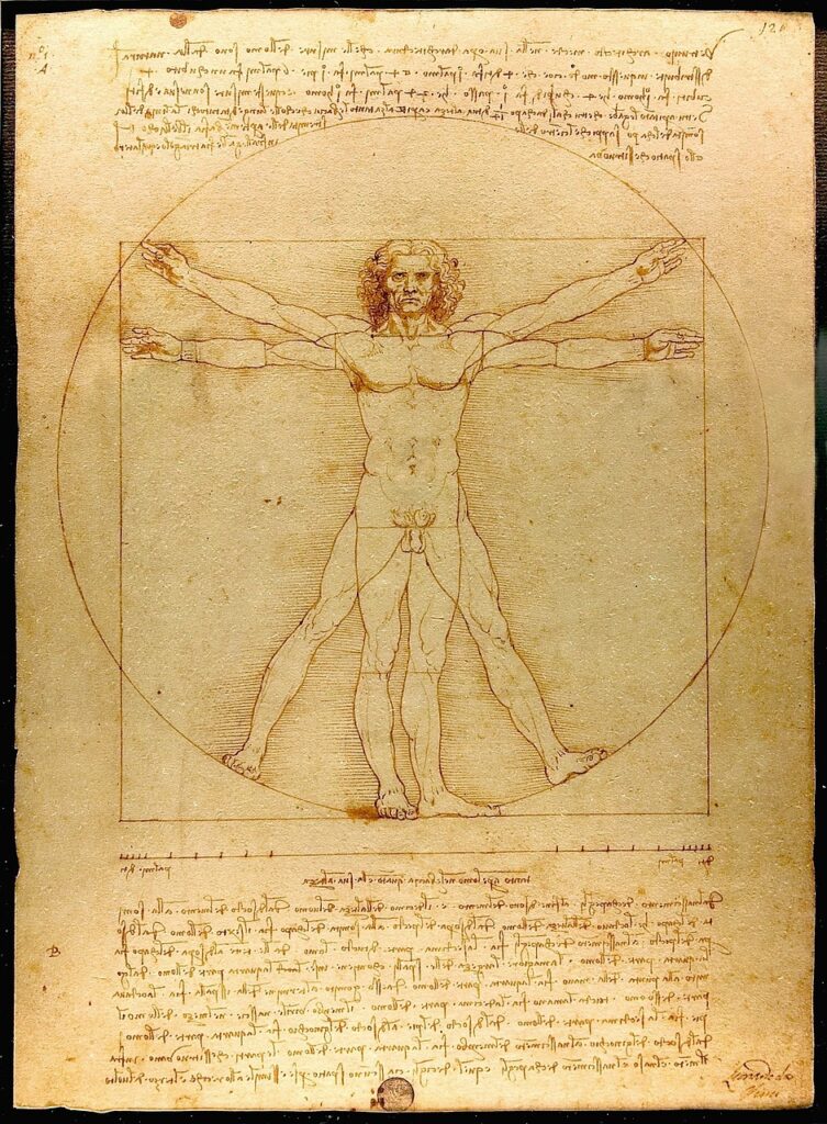 Fibonacci sequence as used in the Vitruvian Man