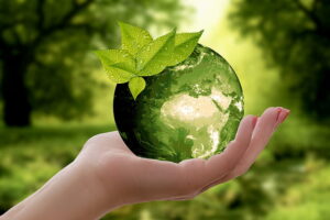 Sustainability concept, green earth sphere in a hand, in green forest