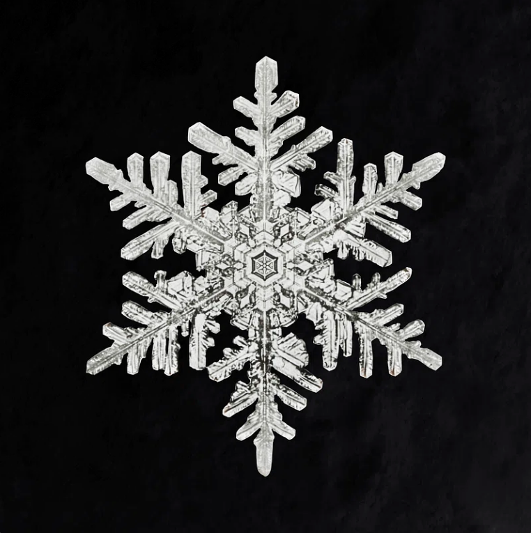 snowflake exhibiting fractal structure