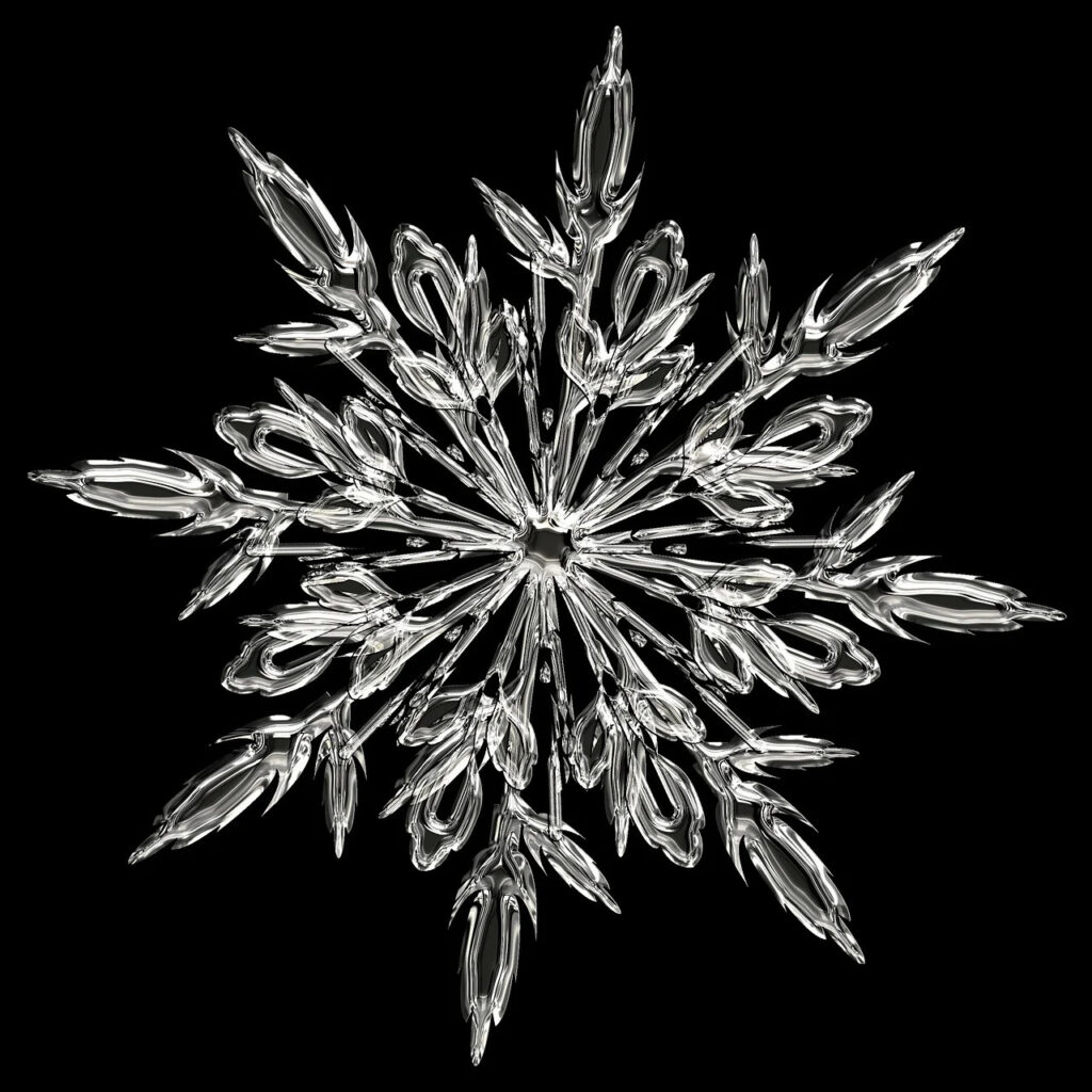 snowflake as an example of natural algorithmic design