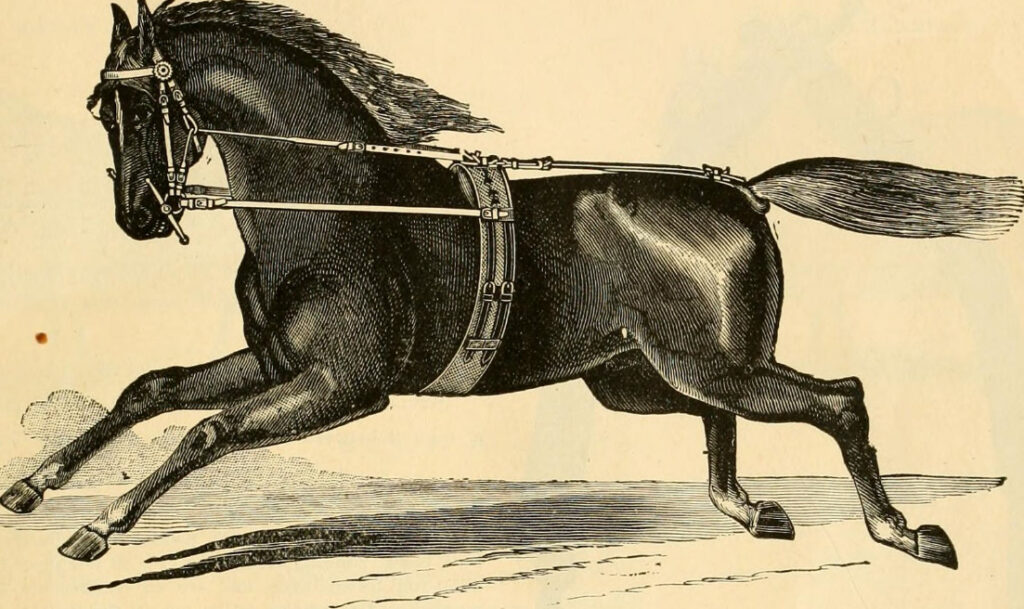 old image of a horse galloping showing incorrect leg positions. Black on yellow paper.