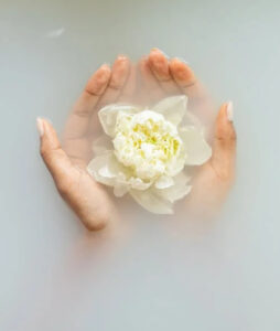 flower floating in hands - fractals and well-being