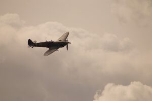 Spitfire flying - an example of beauty denoting functionality