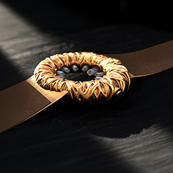 Tropical Crystal, bronze in a beam of light. Thumbnail